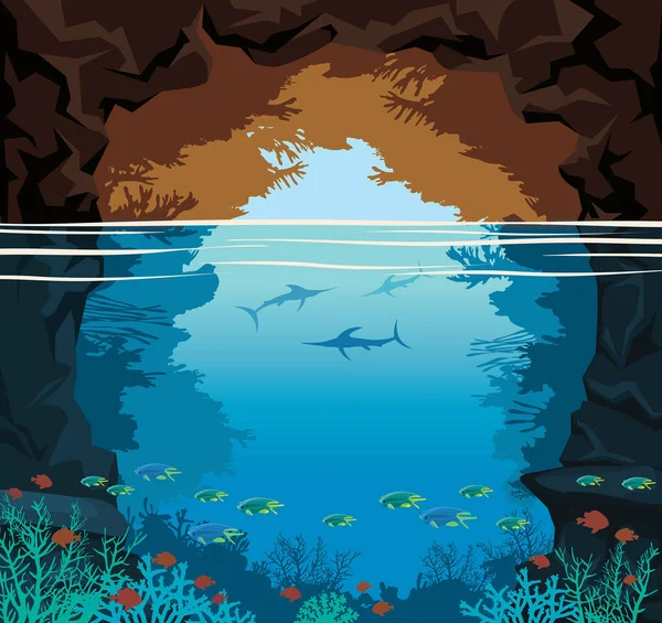 Deniz Mağarası, mercan, marlin balığı, deniz, gökyüzü.