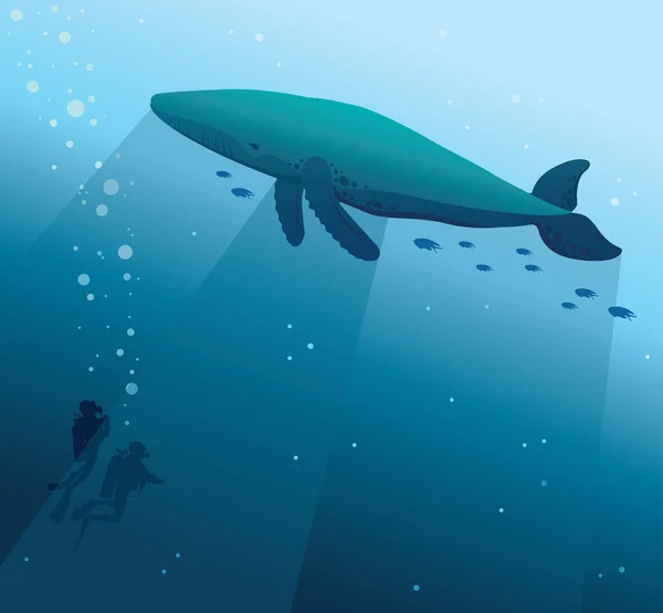 Wal- und Sporttaucher auf einem Meer. Unterwassernatur. — Stockvektor