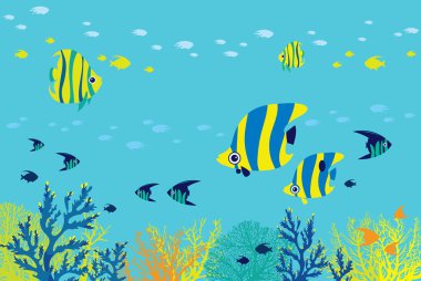 Balık, mercan, deniz resif