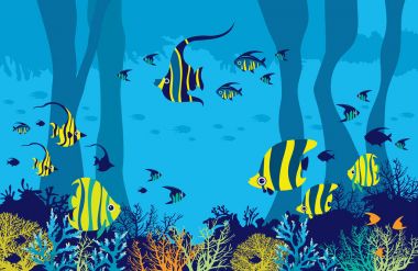 Sualtı mağara, resif balık, deniz ve mercan