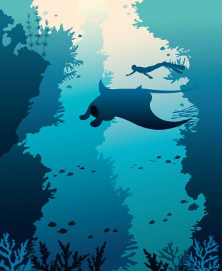 Vektör çizim mantas, freediver ve mercan.