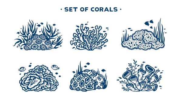 Ensemble de récifs coralliens vecteurs . — Image vectorielle