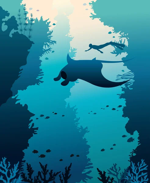 Illustration vectorielle avec mantas, freediver et coraux . — Image vectorielle