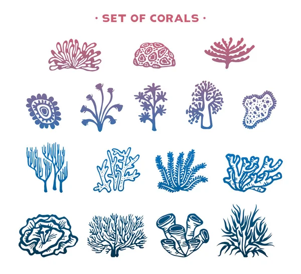 Conjunto de corais vetoriais . —  Vetores de Stock