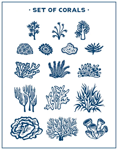 Vektör mercan kümesi.