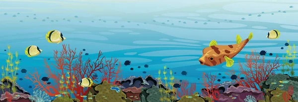 Altı Doğa Deniz Yaban Hayatı Manzarası Mavi Bir Arka Planda — Stok Vektör