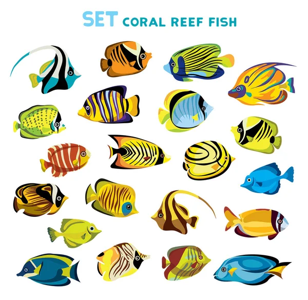 Conjunto Peces Arrecife Coral Sobre Fondo Blanco Ilustración Vectorial — Vector de stock