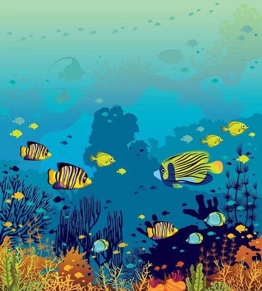 Nature Sous Marine Faune Marine Ecole Poissons Tropicaux Récif Corallien — Image vectorielle