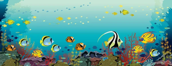 Escuela Peces Tropicales Arrecifes Coral Sobre Fondo Marino Azul Ilustración — Vector de stock