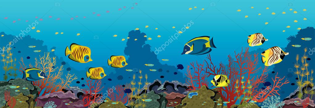 9x7ft Vinyl Tropical Underwater World Wholesale Outlet, 55% OFF ...