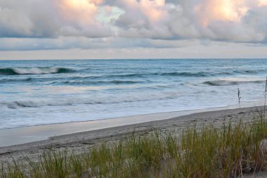 dalgalar deniz kıyısı