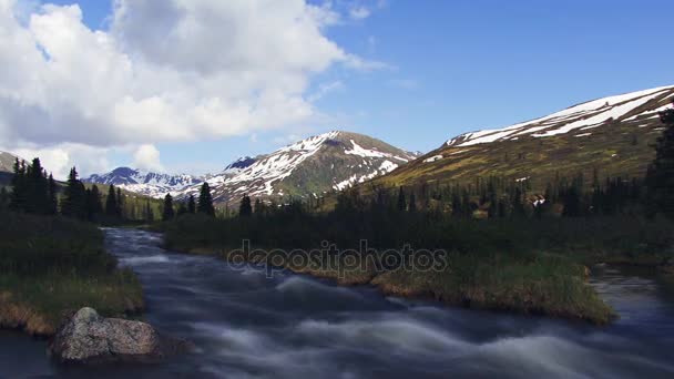 Alaskan mountain stream — Stock Video