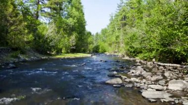 orman akarsu timelapse