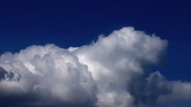 Grote wolk alle — Stockvideo