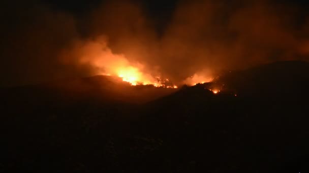 Incêndio florestal ardente — Vídeo de Stock