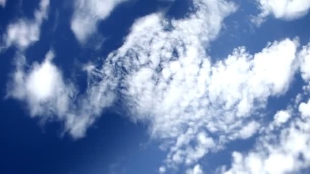 Wolken ziehen über uns hinweg — Stockvideo