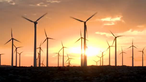 Wolken gedeelte zonsondergang windmolen veld — Stockvideo