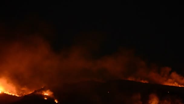 Duman yanan orman — Stok video