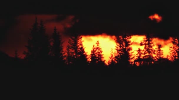 Huge sun setting behing forest — Stock Video