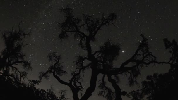Lua e estrelas subindo sobre a cena da natureza — Vídeo de Stock