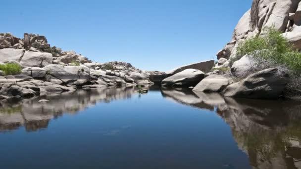 Valle della morte oasi d'acqua — Video Stock