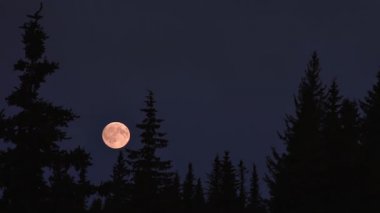 gökyüzünde ay Yükseliyor