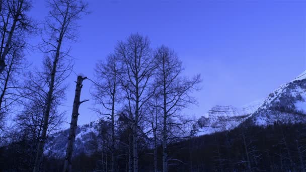 Natt till sunrise tidsfördröjning — Stockvideo