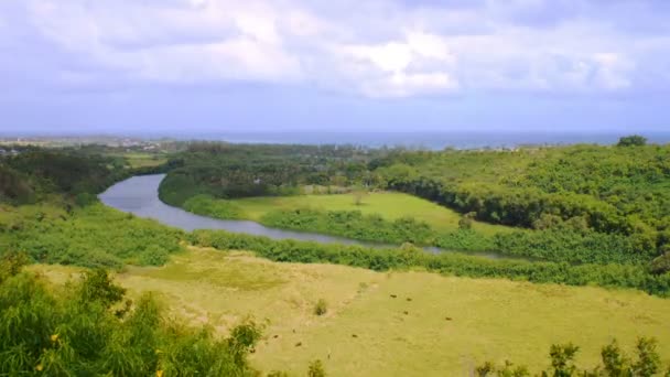 Com vista para o rio Wailua em Kauai — Vídeo de Stock