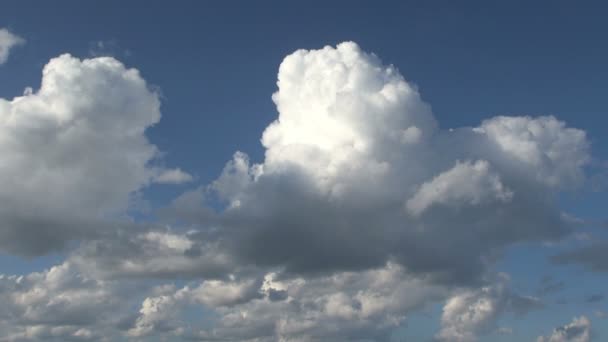 Опухшие белые облака на штокгольмском архипелаге — стоковое видео