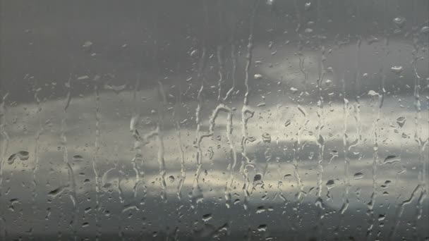 Дощ вікном — стокове відео