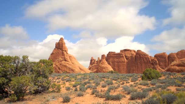 Formaciones rocosas rojas y vegetación verde en el desierto — Vídeos de Stock