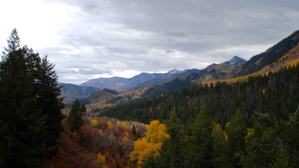 Vista panoramica sulle montagne con alberi d'autunno — Video Stock