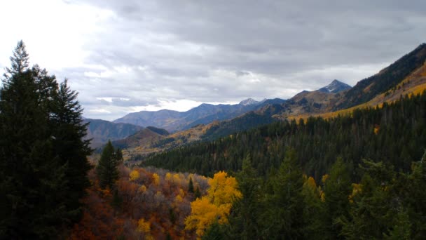 Vue panoramique sur la montagne avec des arbres d'automne — Video