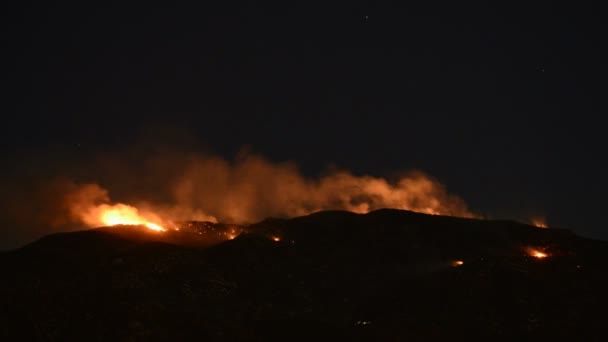 Rauch durch Waldbrand — Stockvideo