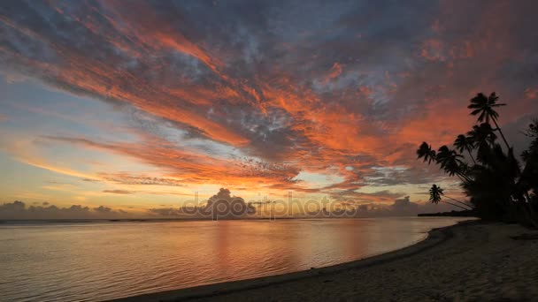 Tiro muito largo estático de uma praia no pôr do sol em ilhas de cozinheiro rarotonga — Vídeo de Stock