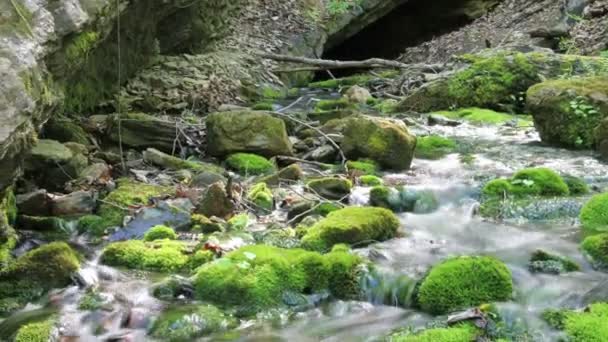 Река и пещерный период с кастрюлей — стоковое видео