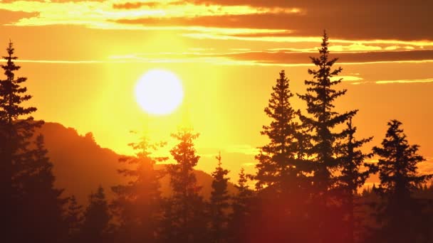 Sun setting over mountain forest — Stock Video