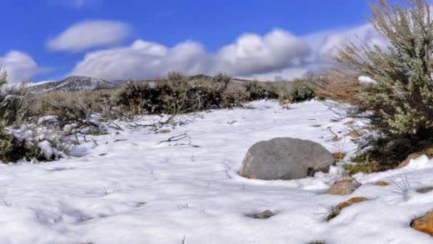 Lapso de tempo derretendo neve — Vídeo de Stock