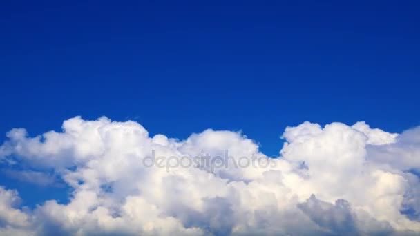 Time lapse bianco nuvole gonfie nel cielo blu profondo — Video Stock