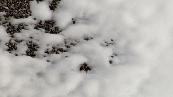 Timelapse de nieve derritiéndose sobre rocas — Vídeo de stock