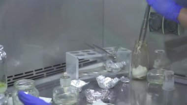 Uzman cımbızı test tüpüne batırıyor, sonra da ocağa getiriyor. Cımbız yakıyor. Yabanmersini üretimi.