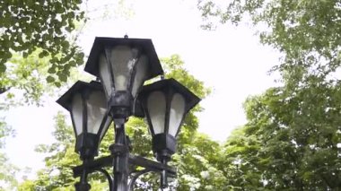 Ağaçların arka planına karşı üç siyah demir fener açık havada yaz mevsiminde ayakta duruyor. Eski Park 'ın Işığı .
