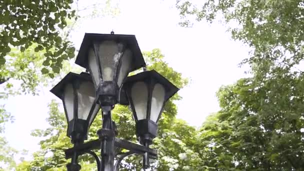 Trois Lanternes Antiques Fer Noir Sur Fond Arbres Dressent Été — Video