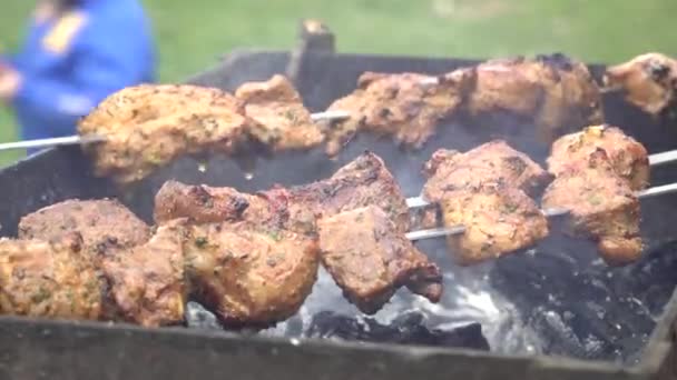 Close Meat Being Fried Grill Outdoor Recreation Weekend City Roll — Stock Video