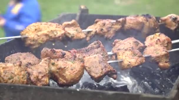 Primer Plano Carne Que Fríe Parrilla Recreo Aire Libre Fin — Vídeos de Stock