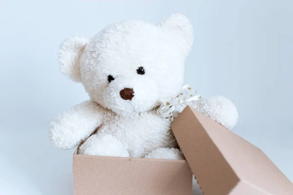 soft toy in a box on a white background