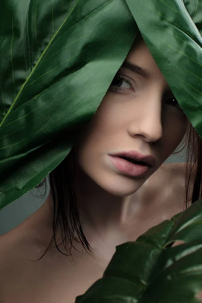 Beauty portrait of a young woman — Stock Photo, Image