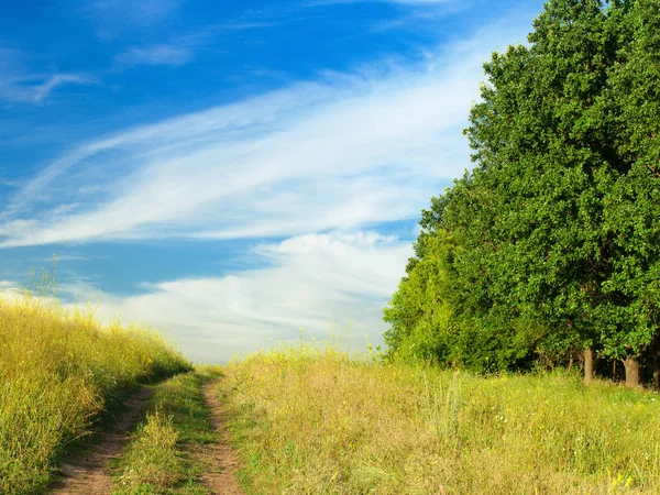 yol alan aracılığıyla