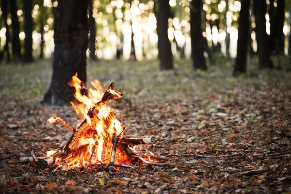 Lagerfeuer im Herbstwald — Stockfoto