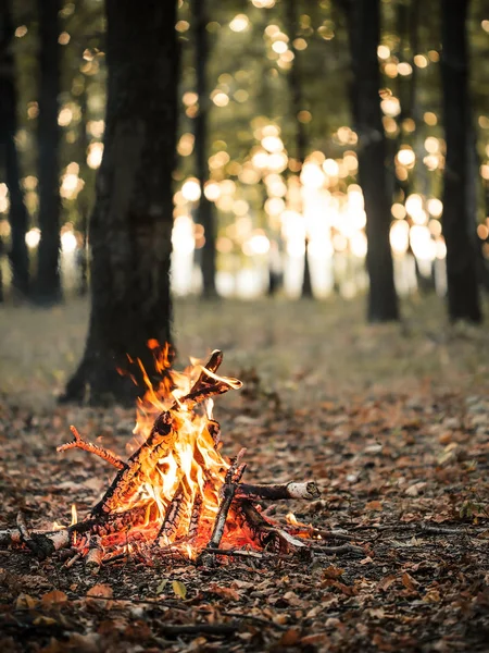 Bonfire in the autumn forest — Stock Photo, Image
